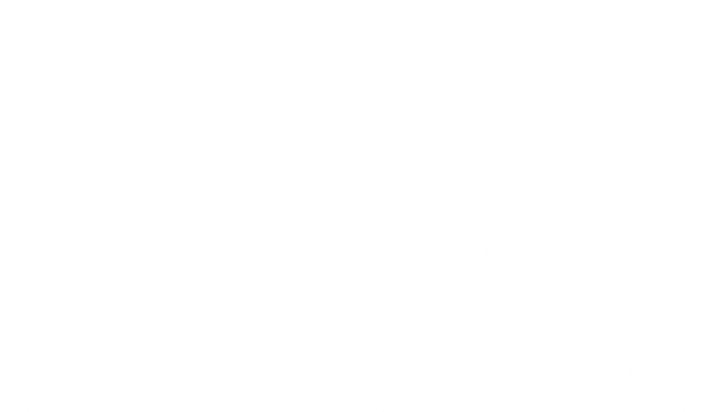CV Landscaping